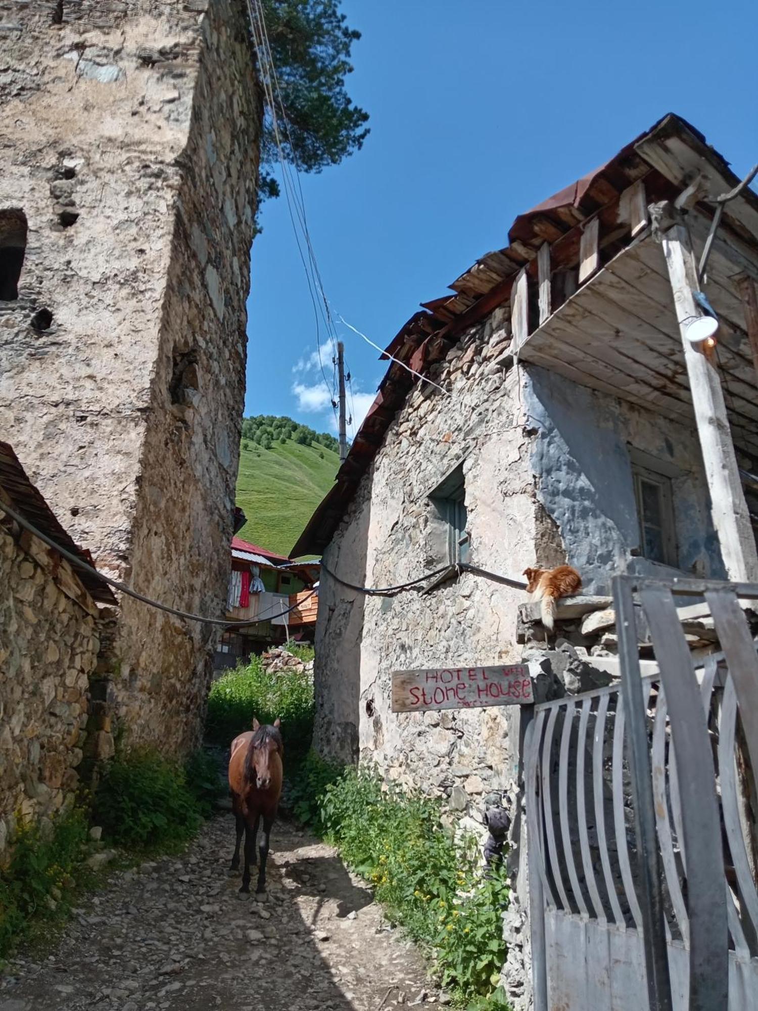 Stone House Marexi Ξενοδοχείο Adishi Εξωτερικό φωτογραφία